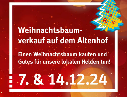 Weihnachtsbaumverkauf kommt Vereinen zu Gute