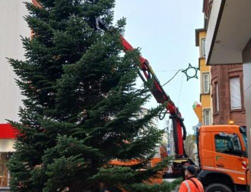 Weihnachtsbaum in der Innenstadt aufgestellt